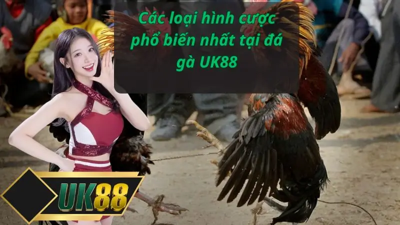 Các loại hình cược phổ biến nhất tại đá gà UK88